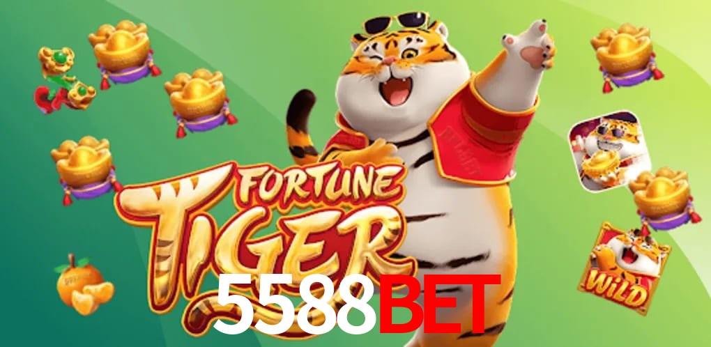 Experiência VIP 5588BET